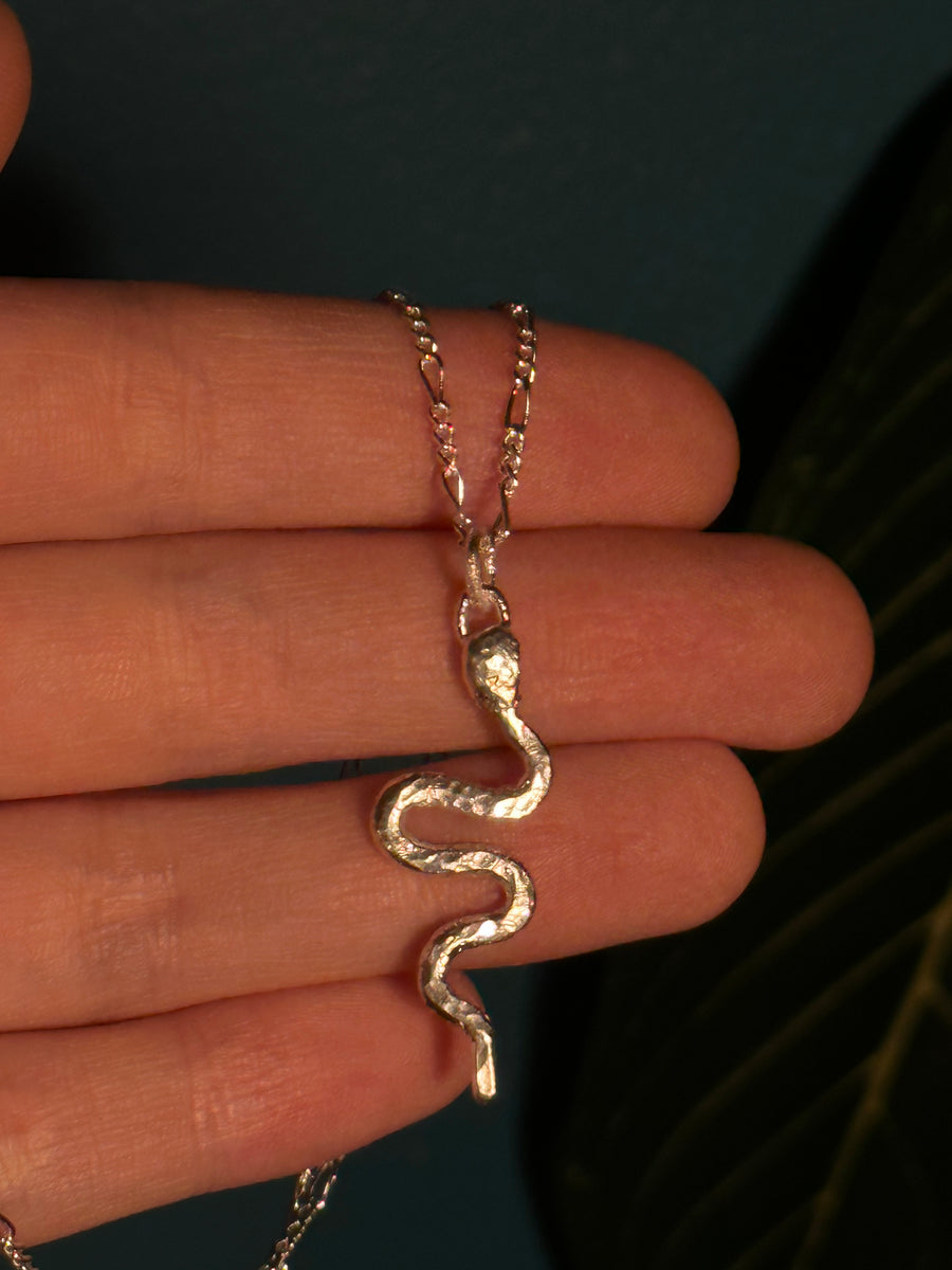 IMG_7219_1200x1200.jpg?v=